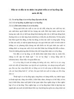 Đầu tư và đầu tư tư nhân vào phát triển cơ sở hạ tầng cấp nước đô thị