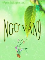 T60Luyện tập viết đoạn văn tự sự có sử dụng ytố ngluận