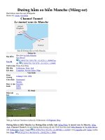 Tu lieu ve duong ham duoi bien Mang-so