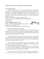 TỔNG QUAN VỀ CÔNG TY CỔ PHẦN XI MĂNG HÀ TIÊN 1