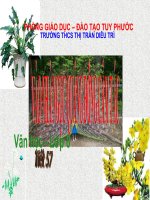 Vào nhà ngục Quảng Đông cảm tác_Tiết 57