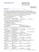 Đề ôn HK I Anh 11 số 5