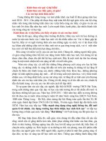 cảm tưởng giáo viên ngày 20-11