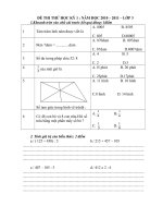 Đề thi thử HKI : 2010-2011