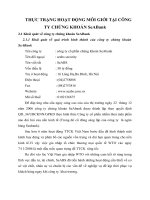 THỰC TRẠNG HOẠT ĐỘNG MÔI GIỚI TẠI CÔNG TY CHỨNG KHOÁN SeABank