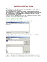 SpellCheck một Text String