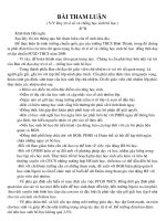 bai tham luan