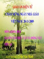 ôn tập: Thực vật và động vật