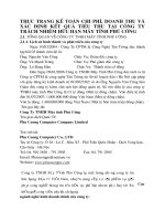 THỰC TRẠNG KẾ TOÁN CHI PHÍ, DOANH THU VÀ XÁC ĐỊNH KẾT QUẢ TIÊU THỤ TẠI CÔNG TY TRÁCH NHIỆM HỮU HẠN MÁY TÍNH PHÚ CƯỜNG