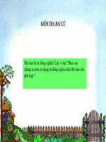 tiet 39- tu trai nghia