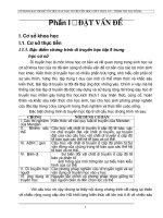 de tai sinh hoc 9 rat chuan