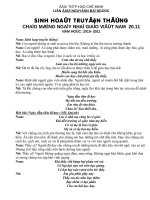 hoạt động Đội và phong trào thiếu nhi NGLL