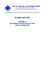 Vi sinh vật đất P5