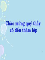 Tiêu hóa và các cơ quan tiêu hoá