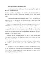 BÁO CÁO THỰC TẾ DOANH NGHIỆP