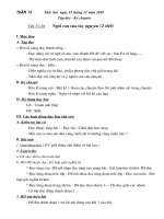 Lớp 3 - Tuần 13