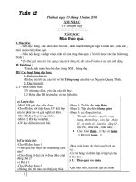 giao an lọp tuan 12 (cktkn )