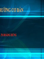 moi truong co ban