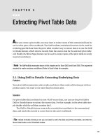 Extracting Pivot Table Data