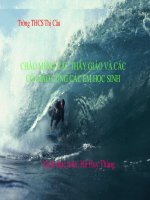 Mặt phẳng toạ độ