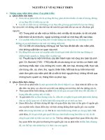 Nguyên lí Sự phát triển