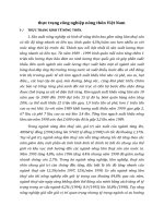 thực trạng công nghiệp nông thôn Việt Nam