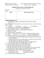 Đề KT HK I Văn 9