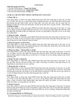 Kiến thức về Nam Sach và Hải Dương