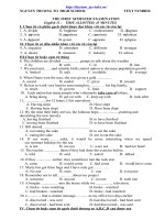 Đề mẫu HK I Anh 11_9