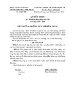 Quyết định thành lập Ban phụ trách Đội