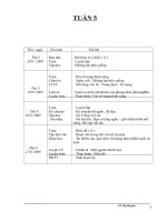Giáo án lớp 4 -Tuần 5 -CKTKN