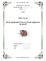 Tiểu luận “Giải pháp kinh tế cho các doanh nghiệp làm ăn thua lỗ”