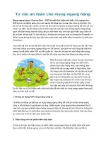 Tư vấn an toàn cho mạng ngang hàng