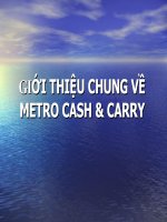 GIỚI THIỆU CHUNG về METRO CASH & CARRY 