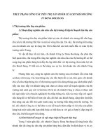 THỰC TRẠNG CÔNG TÁC TIÊU THỤ SẢN PHẨM CỦA CHI NHÁNH CÔNG TY DONA BOCHANG