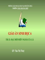 cau tao ben trong cua trai dat