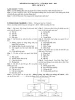 Đề thi kỳ I năm học 2010-2011