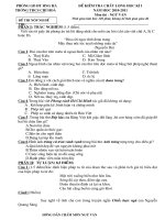 THI HKI VĂN 9 (2010-2011)