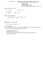 đề thi học sinh giỏi cấp trường