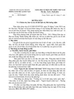 HƯỚNG DẪN V/v Chăm sóc, bảo vệ các di tích lịch sử, Đài tưởng niệm