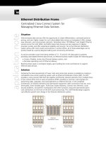Ethernet Distribution Frame
