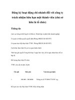 Đăng ký hoạt động chi nhánh đối với công ty trách nhiệm hữu hạn một thành viên (chủ sở hữu là tổ chức)