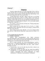 Trao đổi chất và trao đổi năng lượng - Vitamin