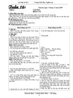 GIAO AN LOP 4 TUAN 16 CKTKN-GDMT