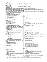 Kế hoạch bài dạy tuần 16 ngày 2 buổi( GV2)