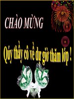 Tiết 24: QUANG HỢP