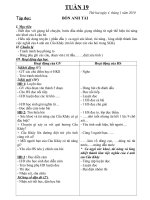 GIÁO ÁN TUẦN 19 CKTKN