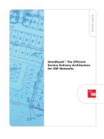 ADC KRONE - Guide Book - FTTP - The Efficient Service Delivery Architecture for OSP network