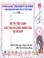 HỆ HO HẤP Ở ĐỘNG VẬT
