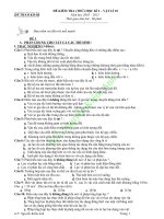 MẪU ĐỀ THI HK1 _V.LÝ10